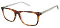 XXL Pelican Tortoise Eyeglasses - Color Image