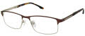 XXL Antelope Brown Eyeglasses - Color Image