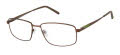 XXL Peregrine Brown Eyeglasses - Color Image