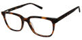 XXL Thresher Tortoise Eyeglasses - Color Image