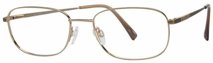 CHARMANT Titanium Perfection CT 8172 Men's Eyeglasses In Gold
