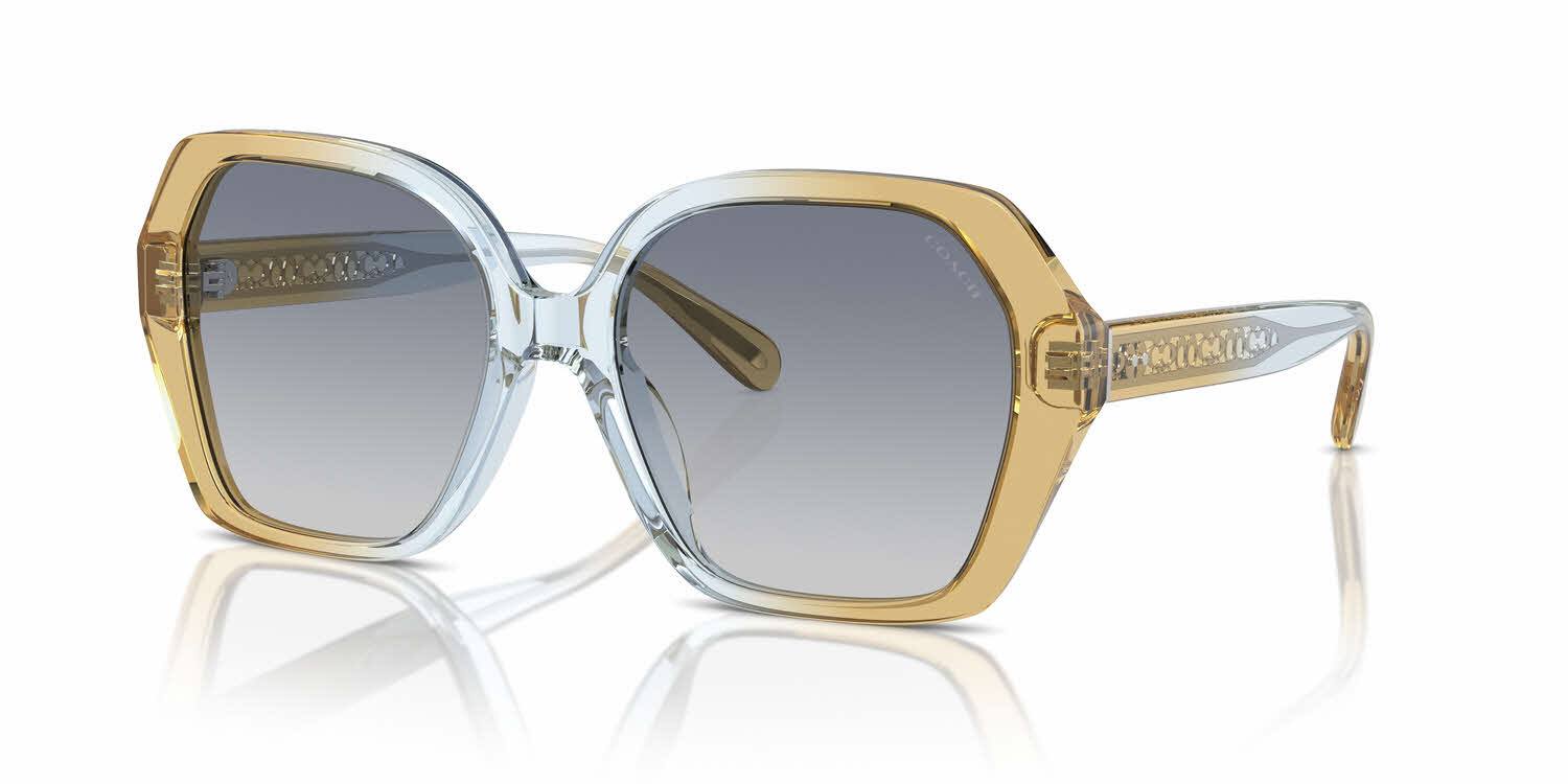 Visit Sunglasses Coach HC8404U Image 1