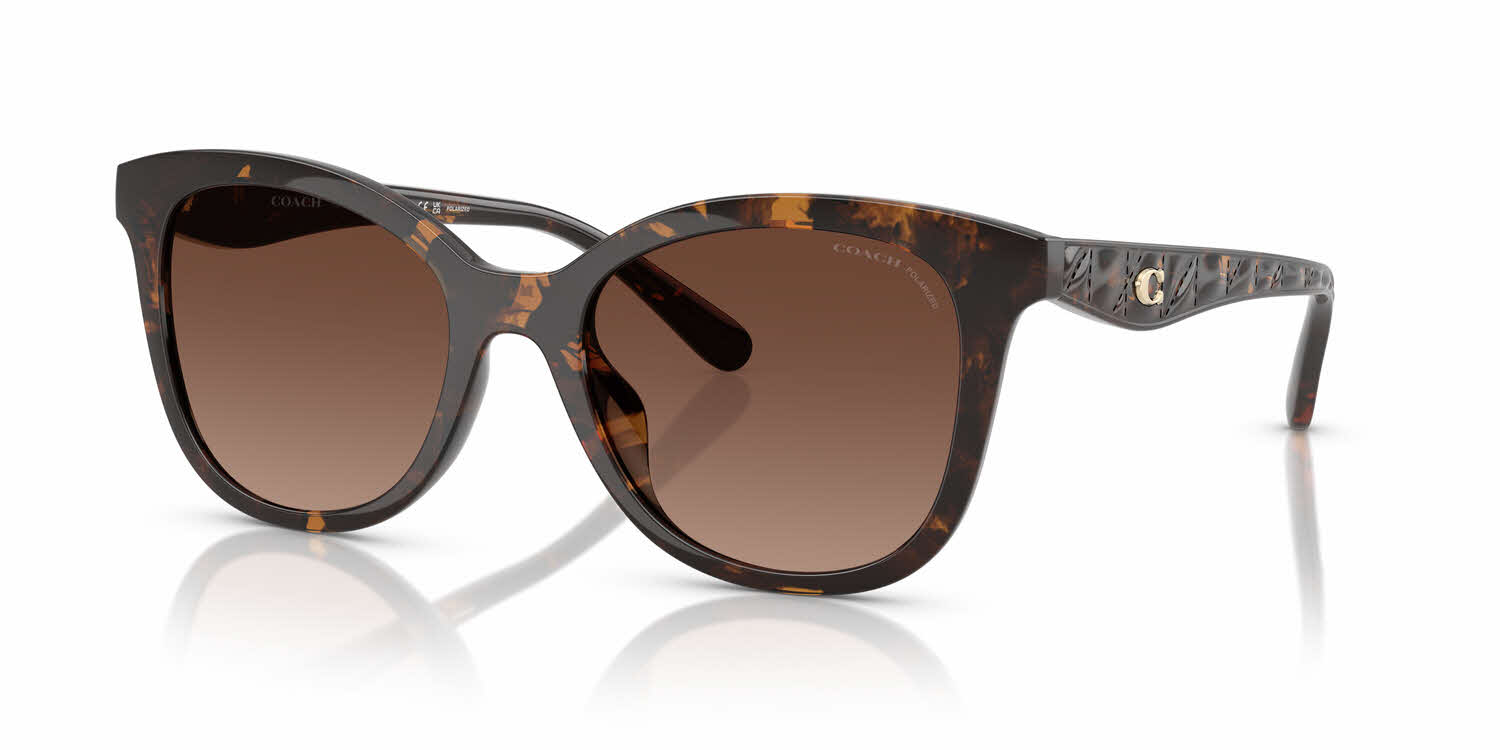Visit Sunglasses Coach HC8419U Image 1