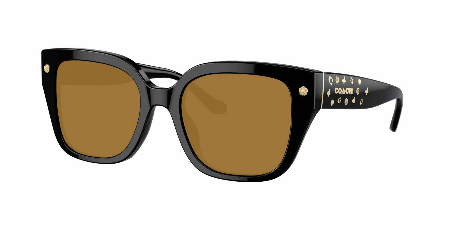 Visit Prescription Sunglasses Coach HC8392U Image 1