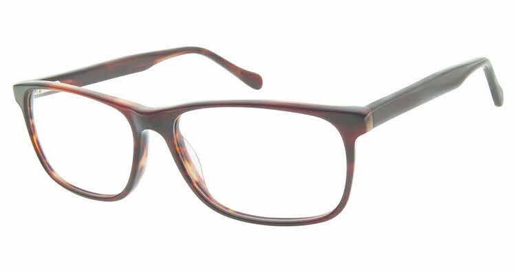 Aristar AR 18653 Eyeglasses