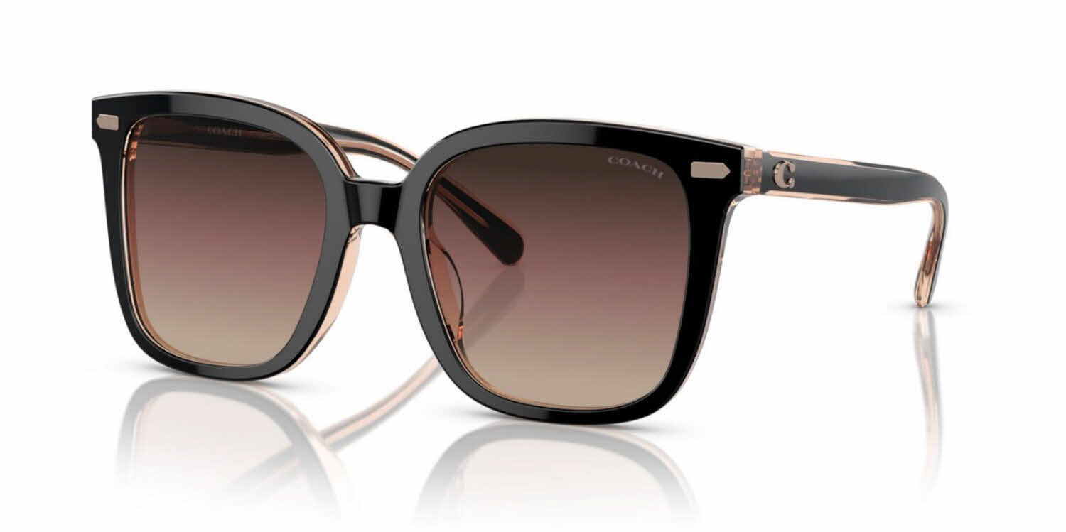 Visit Sunglasses Coach HC8381U Image 1
