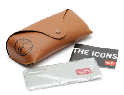 ray ban carrying case