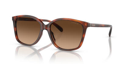 Visit Sunglasses Coach HC8361U Image 1
