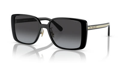 Visit Sunglasses Coach HC8375 Image 1