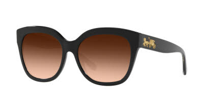 Visit Prescription Sunglasses Coach HC8264 Image 1