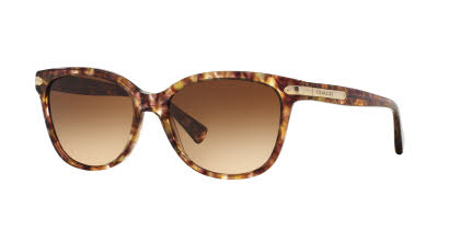 Visit Sunglasses Coach HC8132 Image 1
