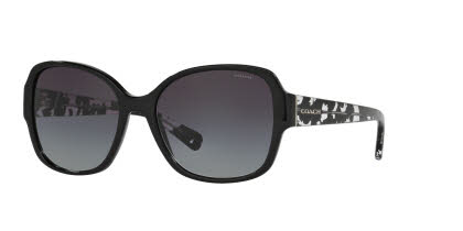 Visit Sunglasses Coach HC8166 Image 1
