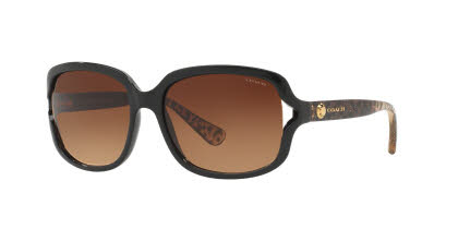 Visit Sunglasses Coach HC8169 Image 1