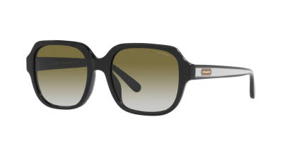 Visit Sunglasses Coach HC8335U Image 1
