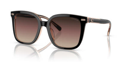 Visit Sunglasses Coach HC8381U Image 1