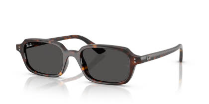 Visit Sunglasses Ray-Ban RB4455 Image 1