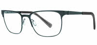 Randolph Engineering Weston Eyeglasses