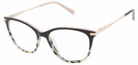 Ted Baker TFW010 Eyeglasses
