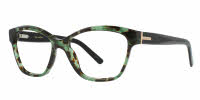 Ted Baker B729 Eyeglasses