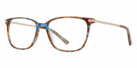 Ted Baker B748 Eyeglasses